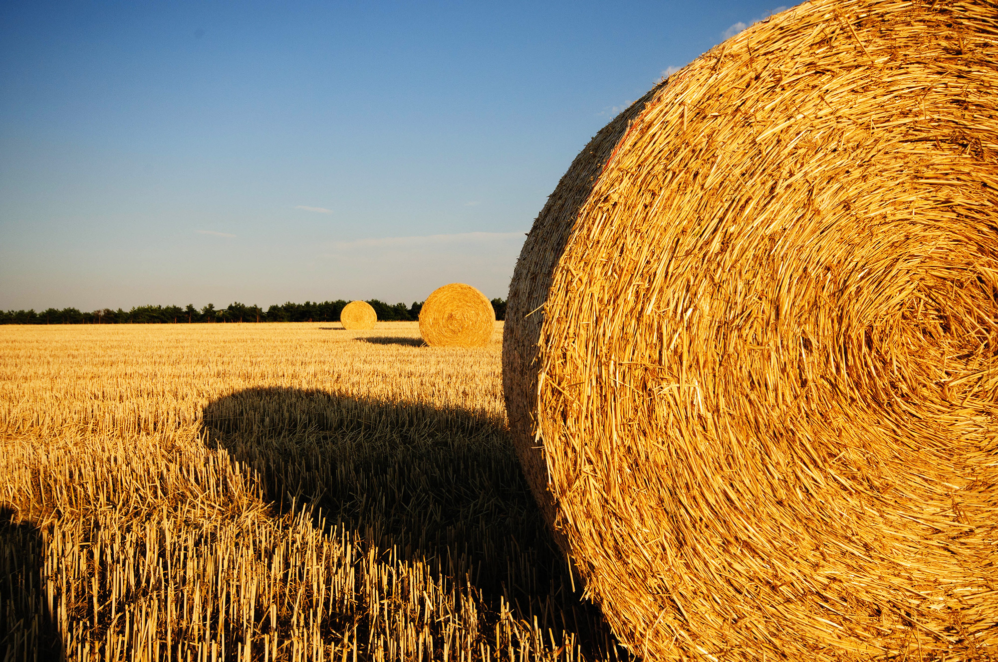 Top 10 Farm Safety Tips Farm Management