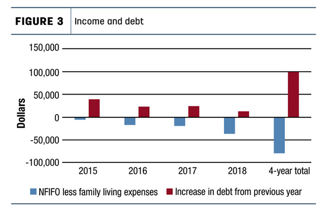Figure 3 - Income and Debt