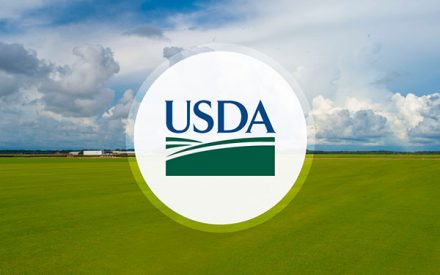 USDA Designates Three Wisconsin Counties as Primary Natural Disaster Areas
