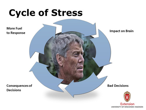 Ciclo di stress