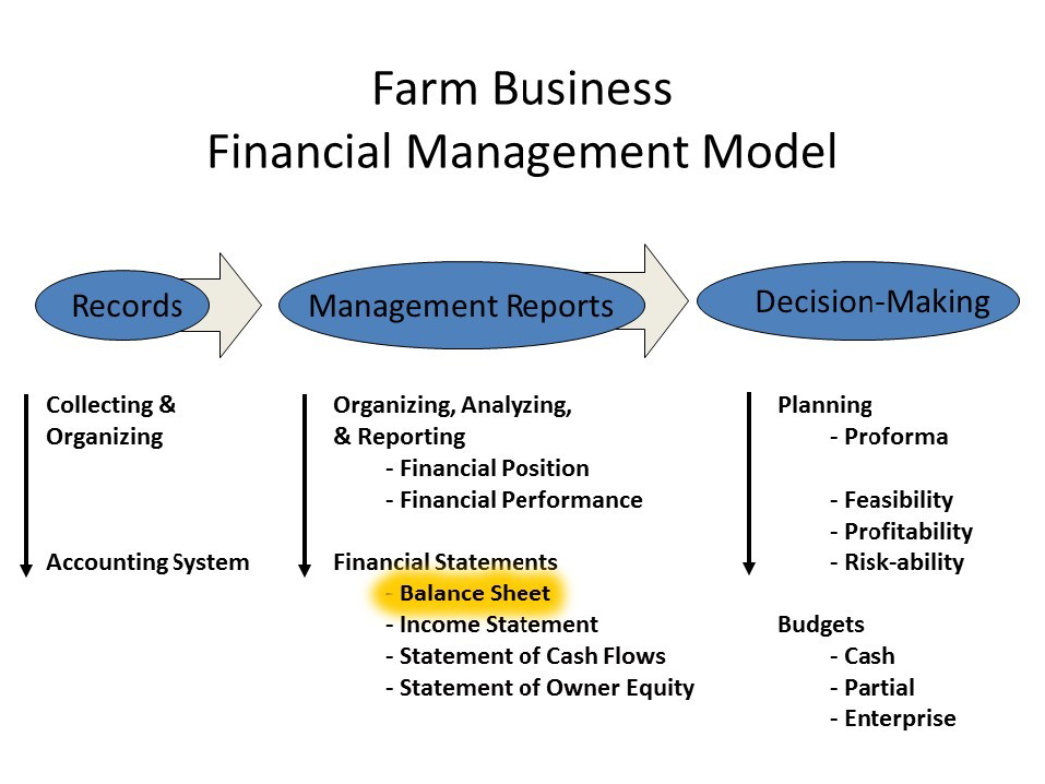 Farm Business Financial Management Model