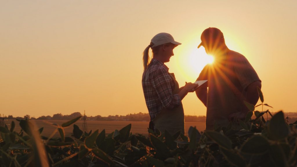 a man and a woman communicating on the farm