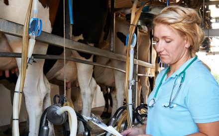 Participants sought for UW-Madison survey about nontraditional sources of credit for Wisconsin dairy farmers