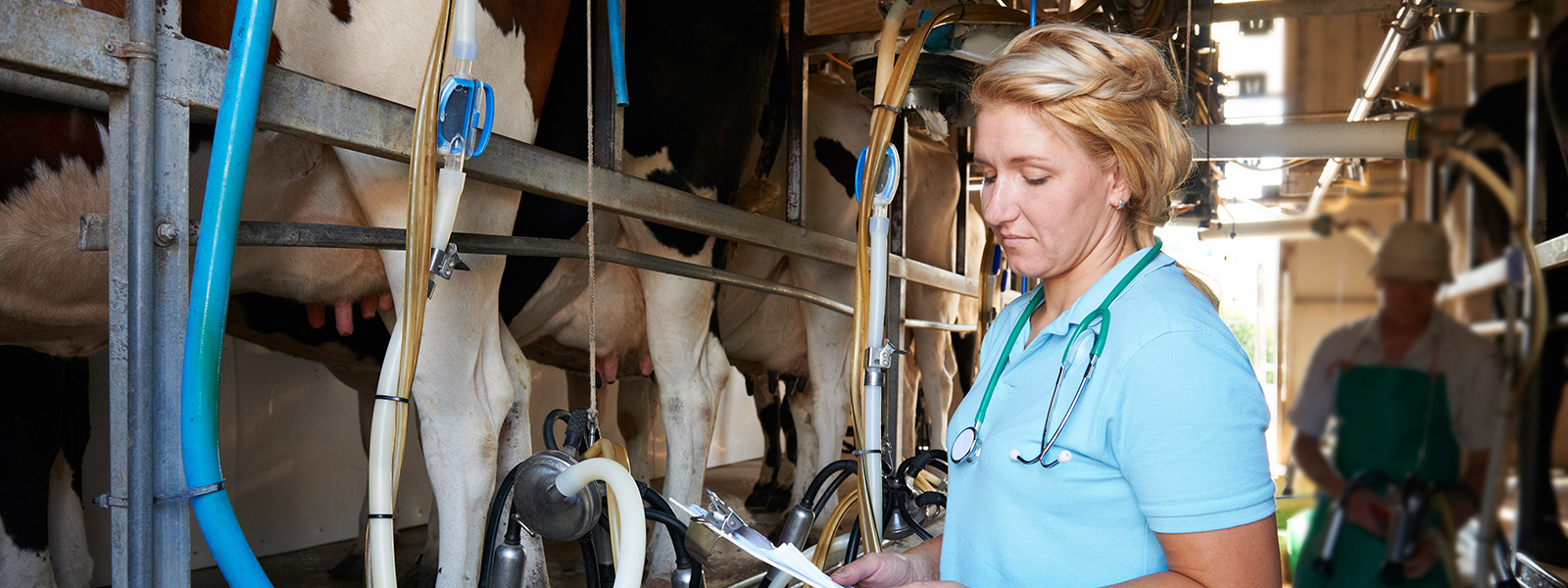 woman in barn looking at paperwork