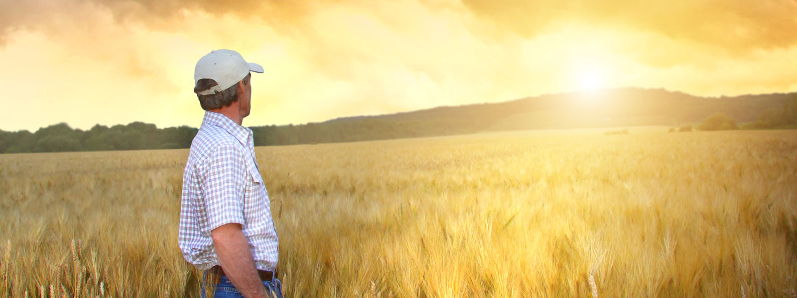 a farmer in a field watching the sun set