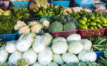 fresh vegetables varieties displayed in containers
