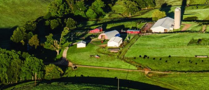 Crop Share Rental Arrangements for your Farm – AgLease 101 publication brief summary