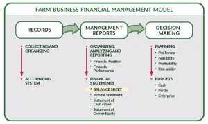 farm business plan worksheet balance sheet