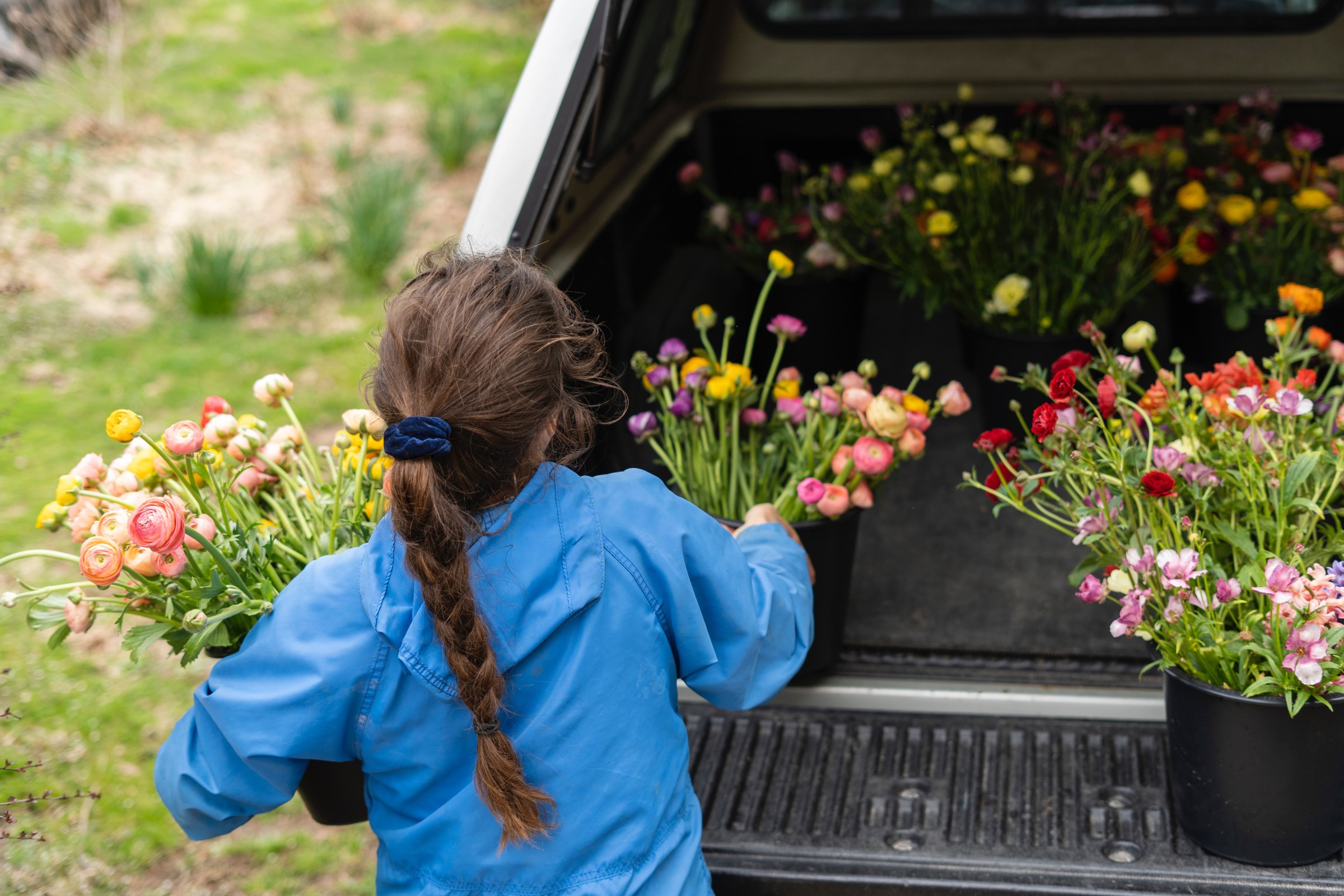Woman loads bouquets of flowers into back of covered pick up truck.