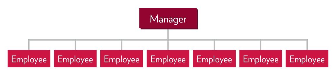 A diagram showing that one manager directly leads several employees