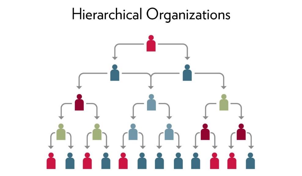 A diagram showing that hierarchical organizations have one manager on the top who directly manages two people (for example) and those two people manage other people and so on.