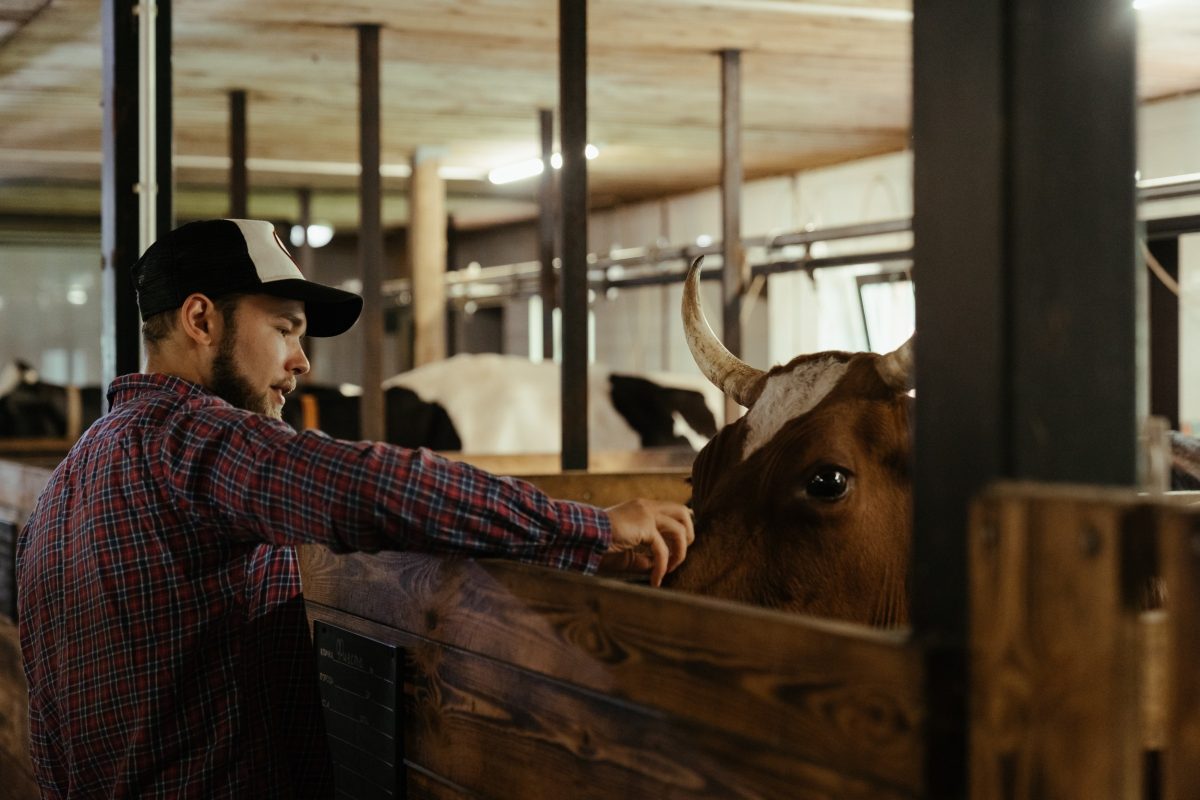 Develop an organizational chart for your farm business