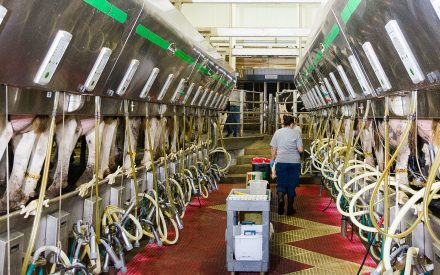 Enrollment open for 2023 Dairy Margin Coverage (DMC) learn more in an Extension webinar on November 9