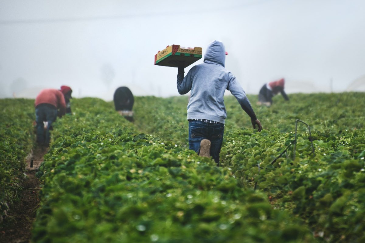 First impressions matter:  The importance of onboarding farm new hires