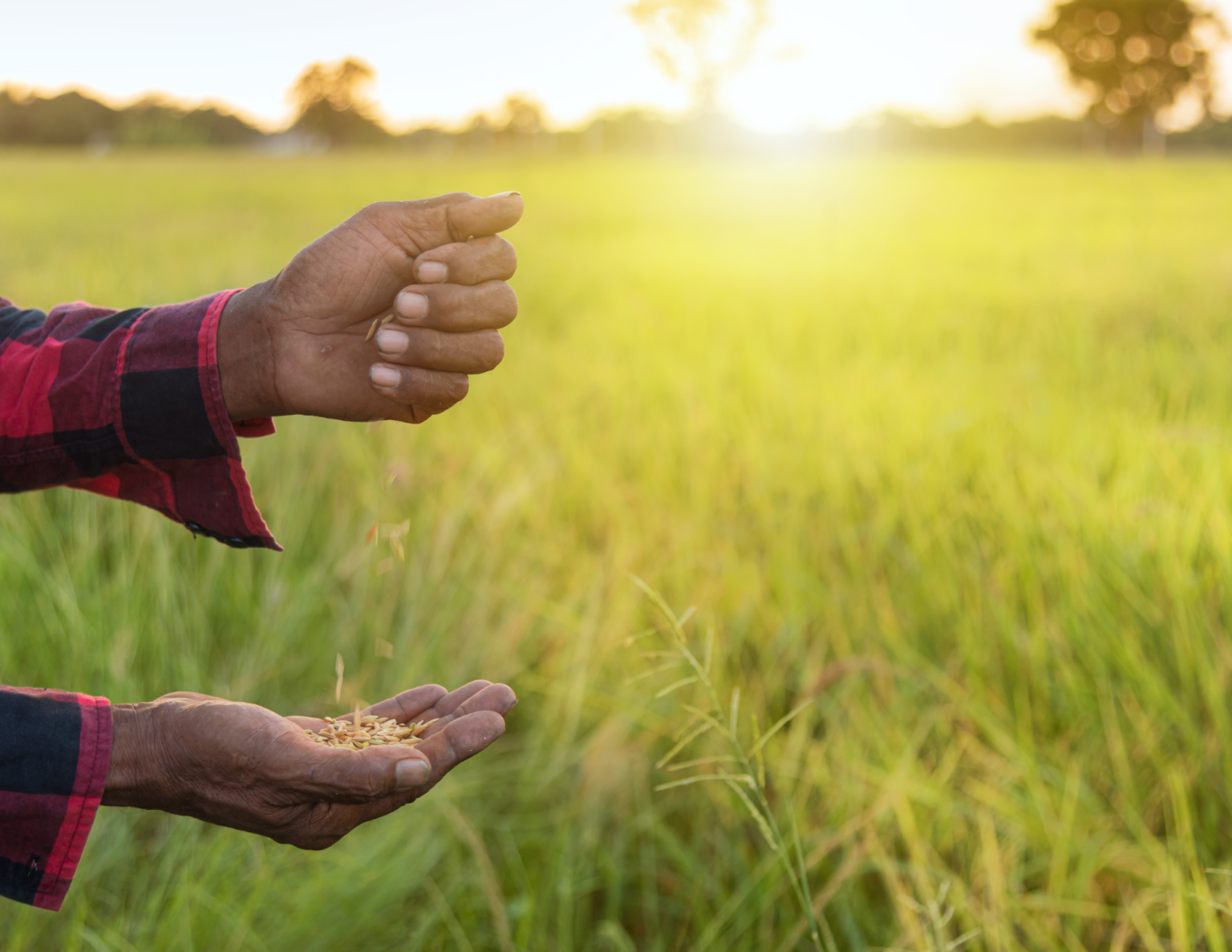 Agricultural Conservation Easements 101 Permanently Protect Your