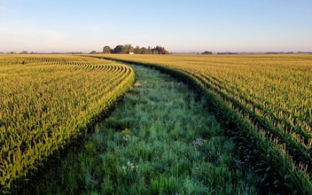 Agricultural Lenders asked to share perspectives on conservation agriculture practices in a short survey