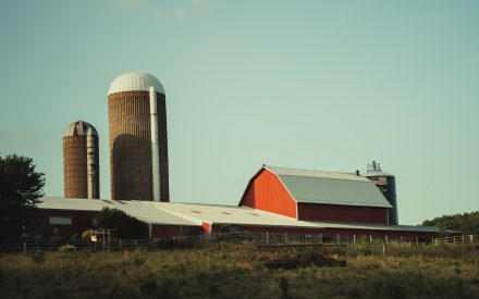 Farm scene