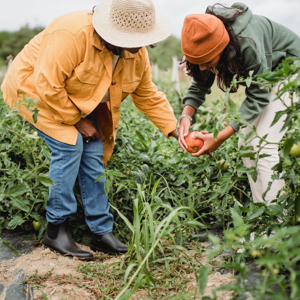 two women working in farm