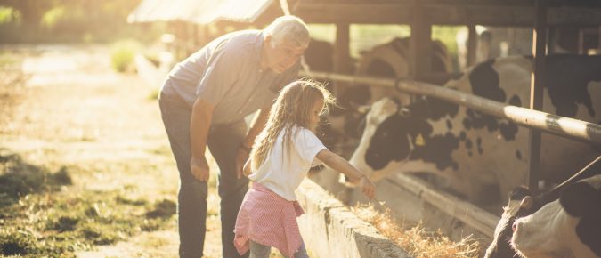 Balancing family and business goals is the key to farm succession planning
