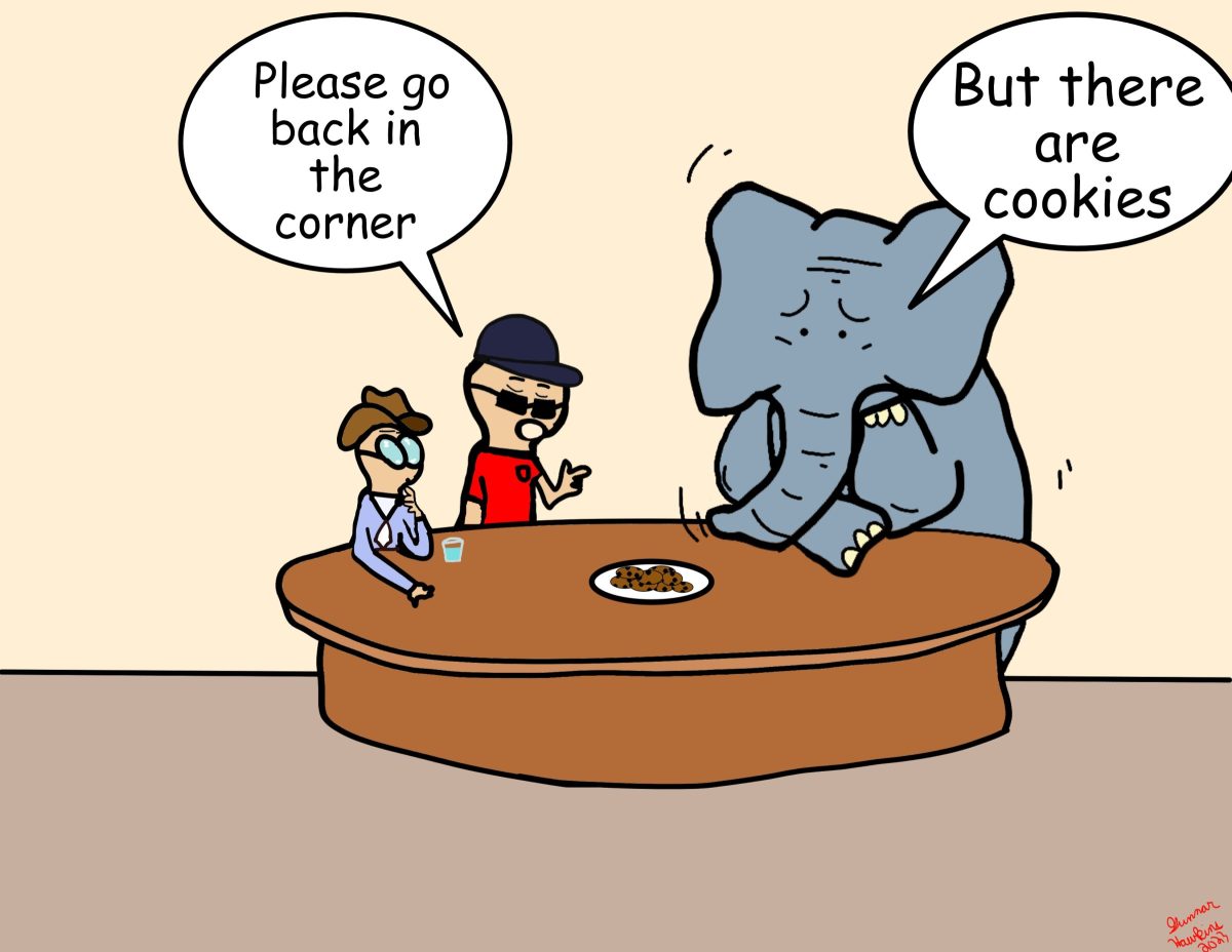 Elephant in the room