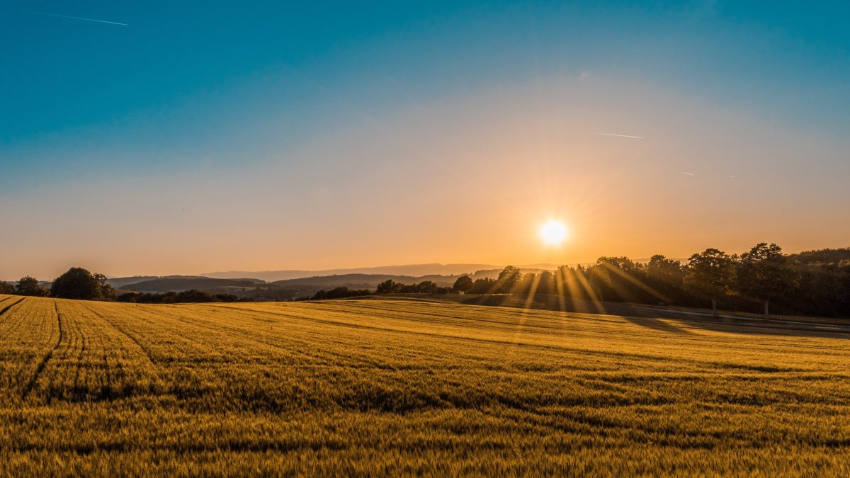 Accessing land for your farm business