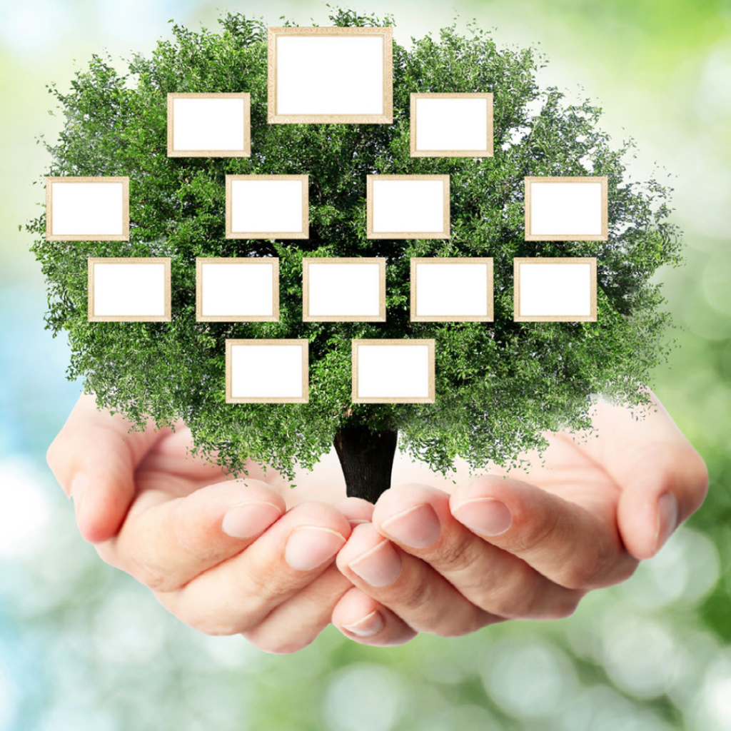 Family Tree and Family Spotlight