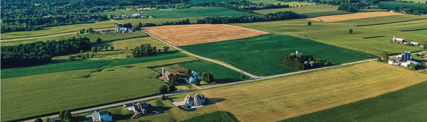 farm scene