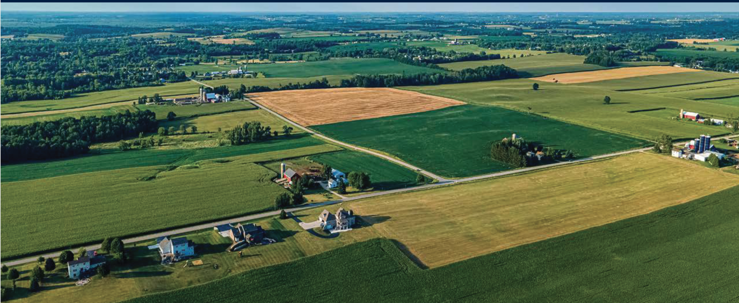 farm scene