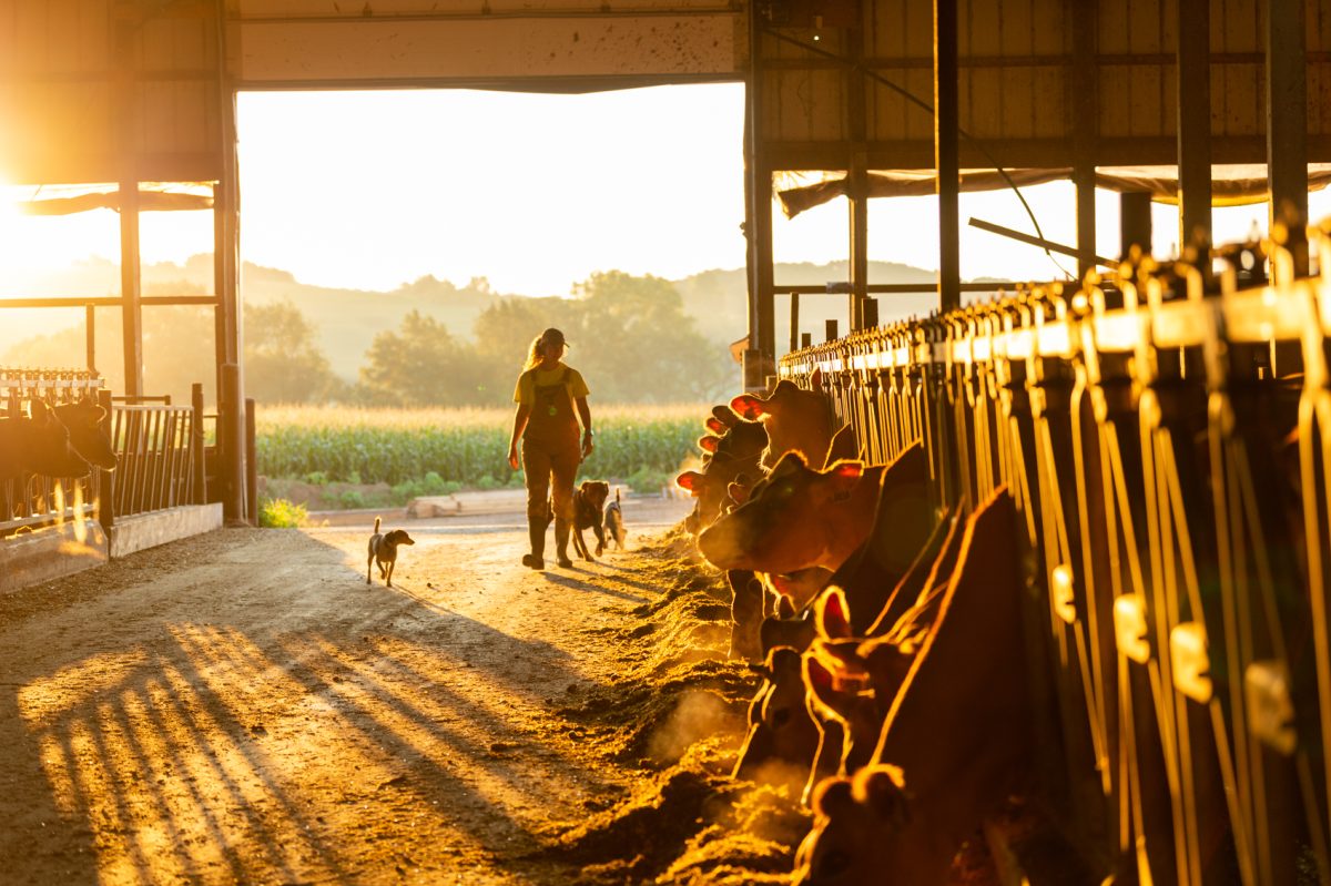 It’s okay to talk about farm suicide risk