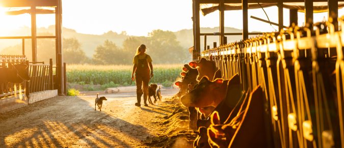 It’s okay to talk about farm suicide risk