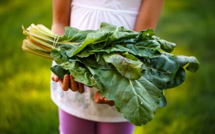 person holding leafy greens