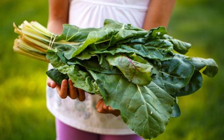 person holding leafy greens