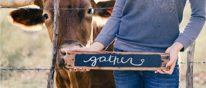 Holidays and Farming: Navigating family gatherings and farm life
