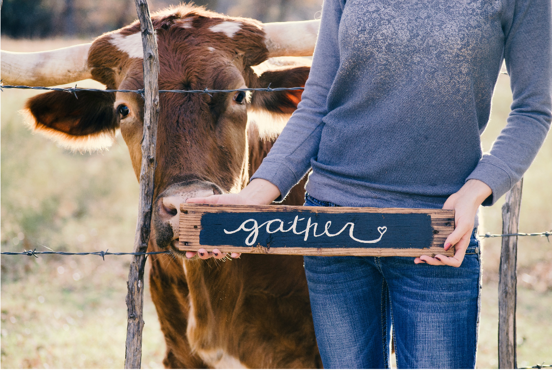 woman in front of a barbed wire fence with a cow with horns behind. Womin is in a blue sweater and jeans with a sign in her hands that says gather