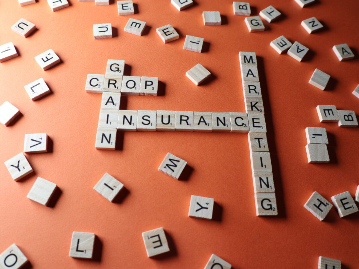 Interactions between Crop Insurance and Grain Marketing Decisions