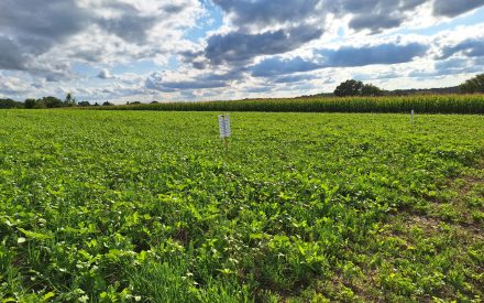 Wisconsin farmers receive grants for sustainable projects