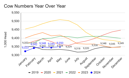 Line graph depicting cow numbers, year over year