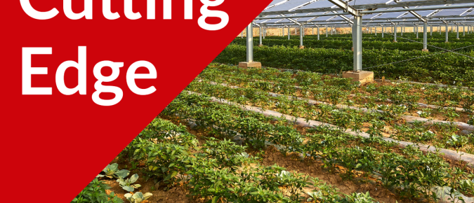 ▶ Listen: The Cutting Edge Podcast Ep. 46: Agrivoltaics Part II, UW Kegonsa Solar Project