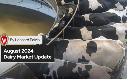 August 2024 Dairy Market Update