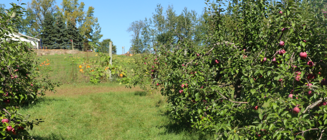 Responding to accessibility issues and requests for accommodations for your agritourism event