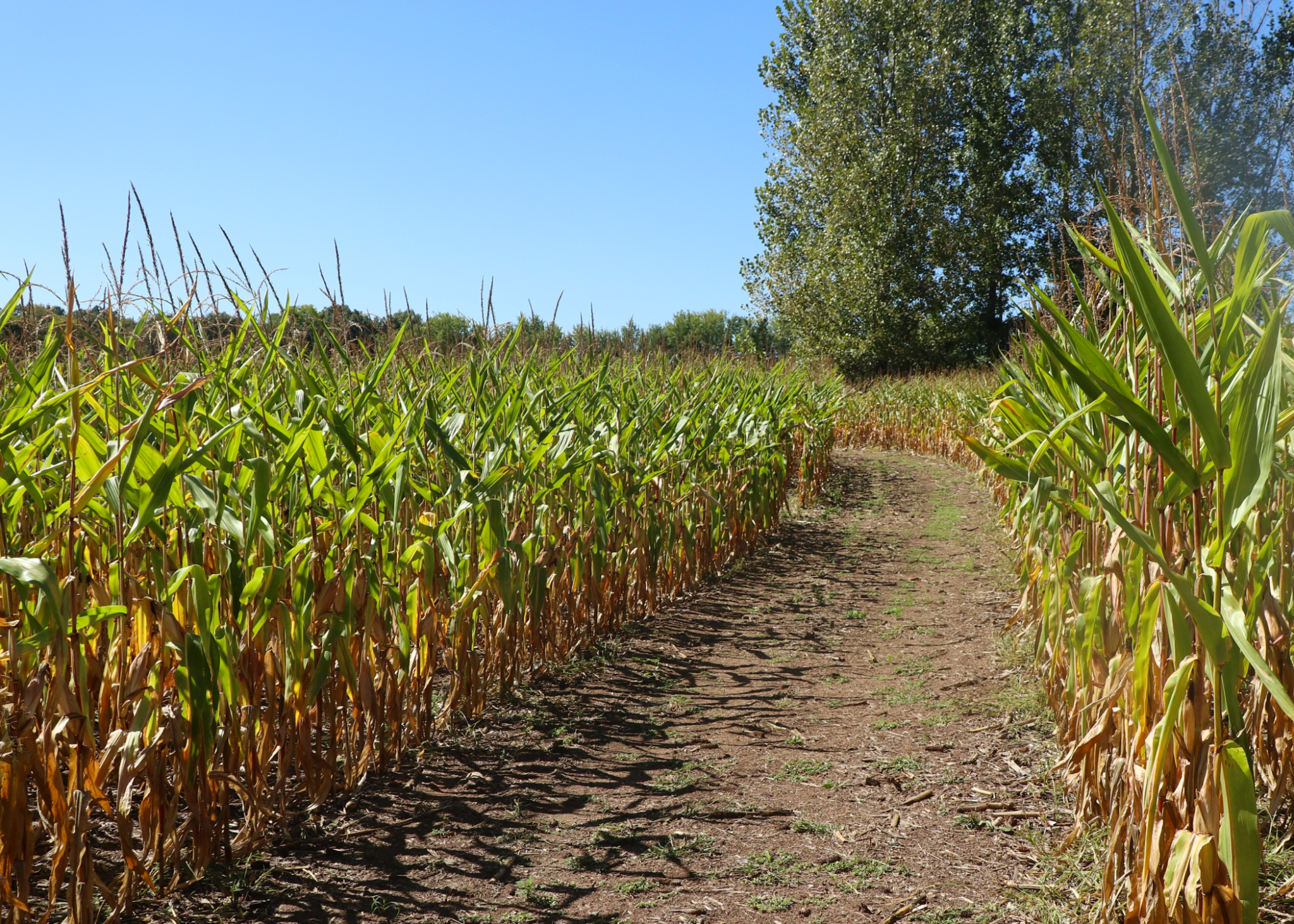 Universal design examples for agritourism events – Farm Management