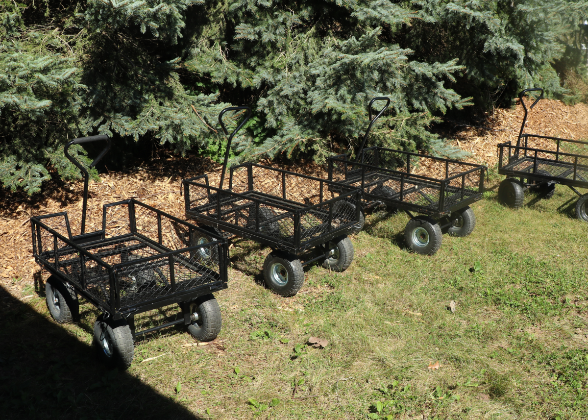 Wagons to transport pumpkins