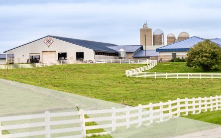 Wisconsin’s agricultural industry tops $116.3 billion in increase from previous years; dairy sector represents 6.5% of state’s economic activity