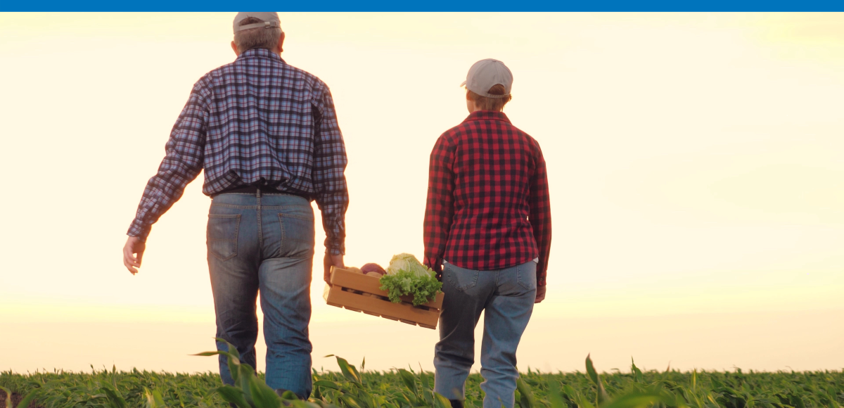 Two farmers carrying a container full of produce through a field