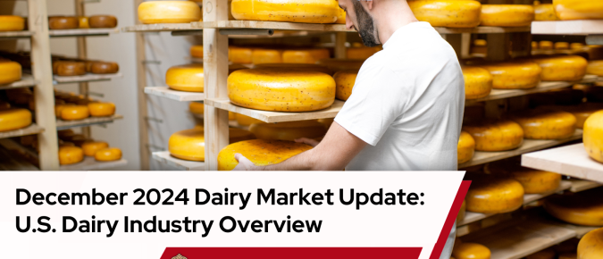 December 2024 Dairy Market Update: US Dairy Industry Overview