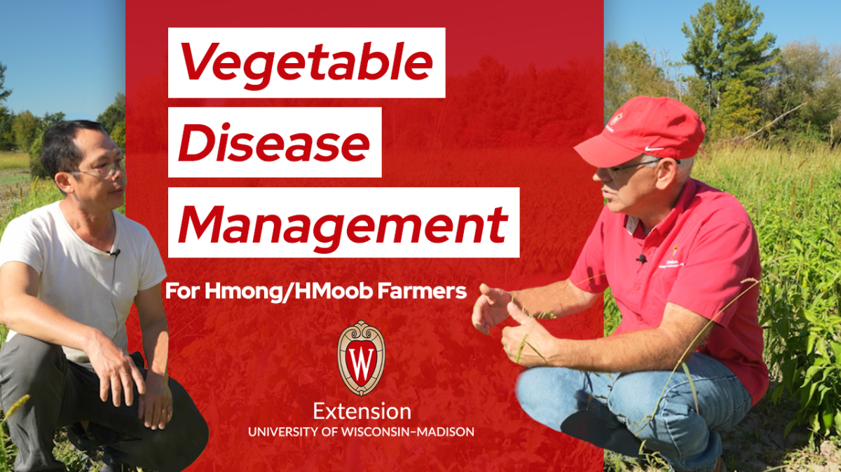 ▶ Watch: Vegetable Disease Management for Hmong/HMoob Farmers