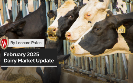 February 2025 Dairy Market Update