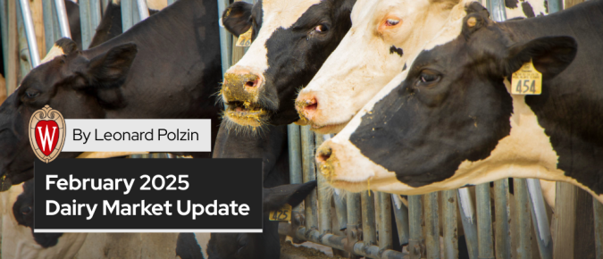 February 2025 Dairy Market Update: US Dairy Industry Overview