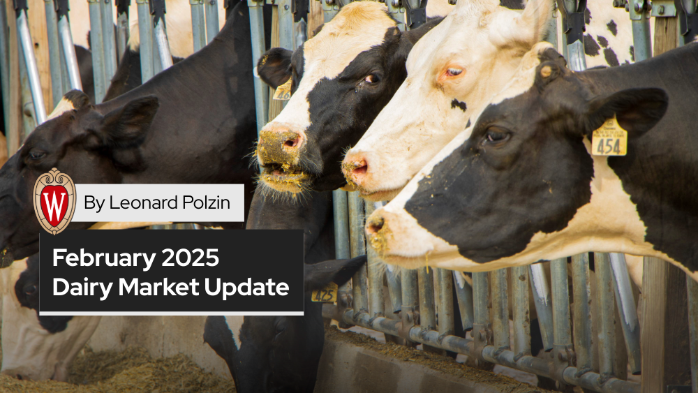 February 2025 Dairy Market Update