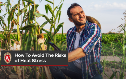 How to Avoid the Risks of Heat Stress